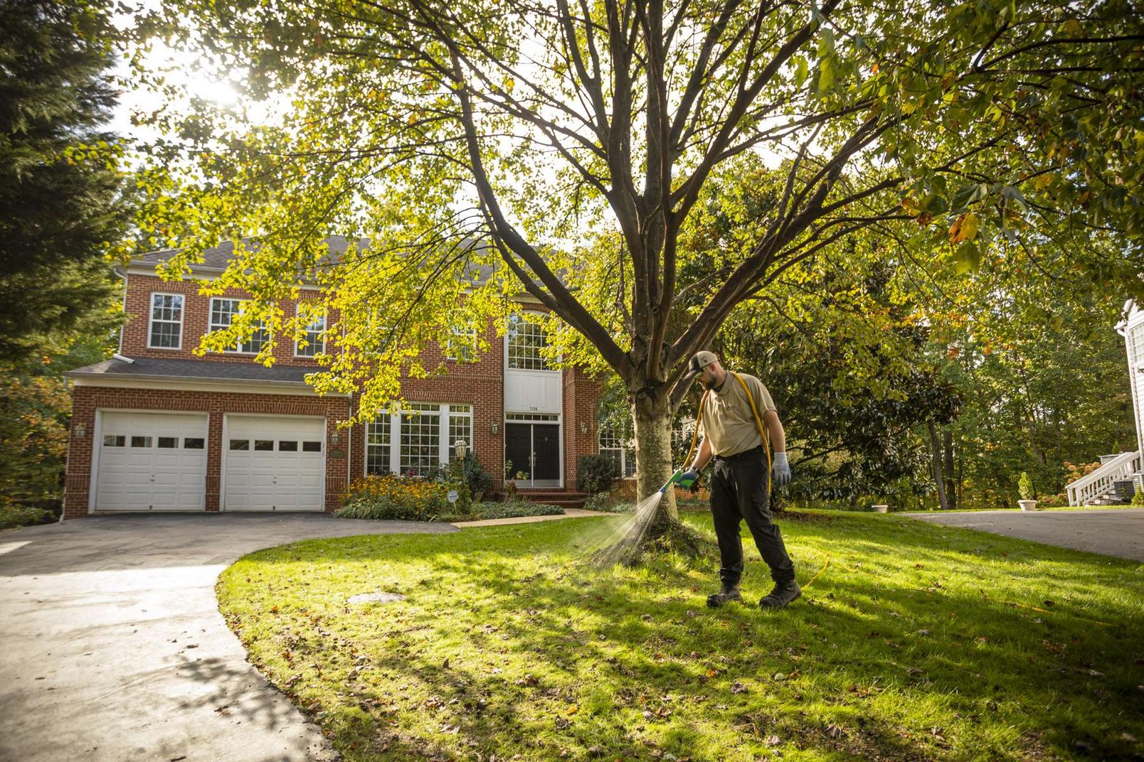 Your Essential Guide to Lawn Care in Northern Virginia